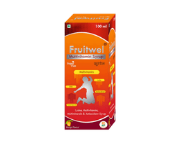 FRUITWEL SYRUP 200ML